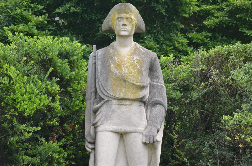 The Revolutionary Soldier