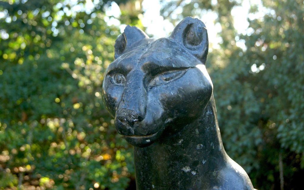 A close-up view of the head of puma in dark granite in a lush green park.