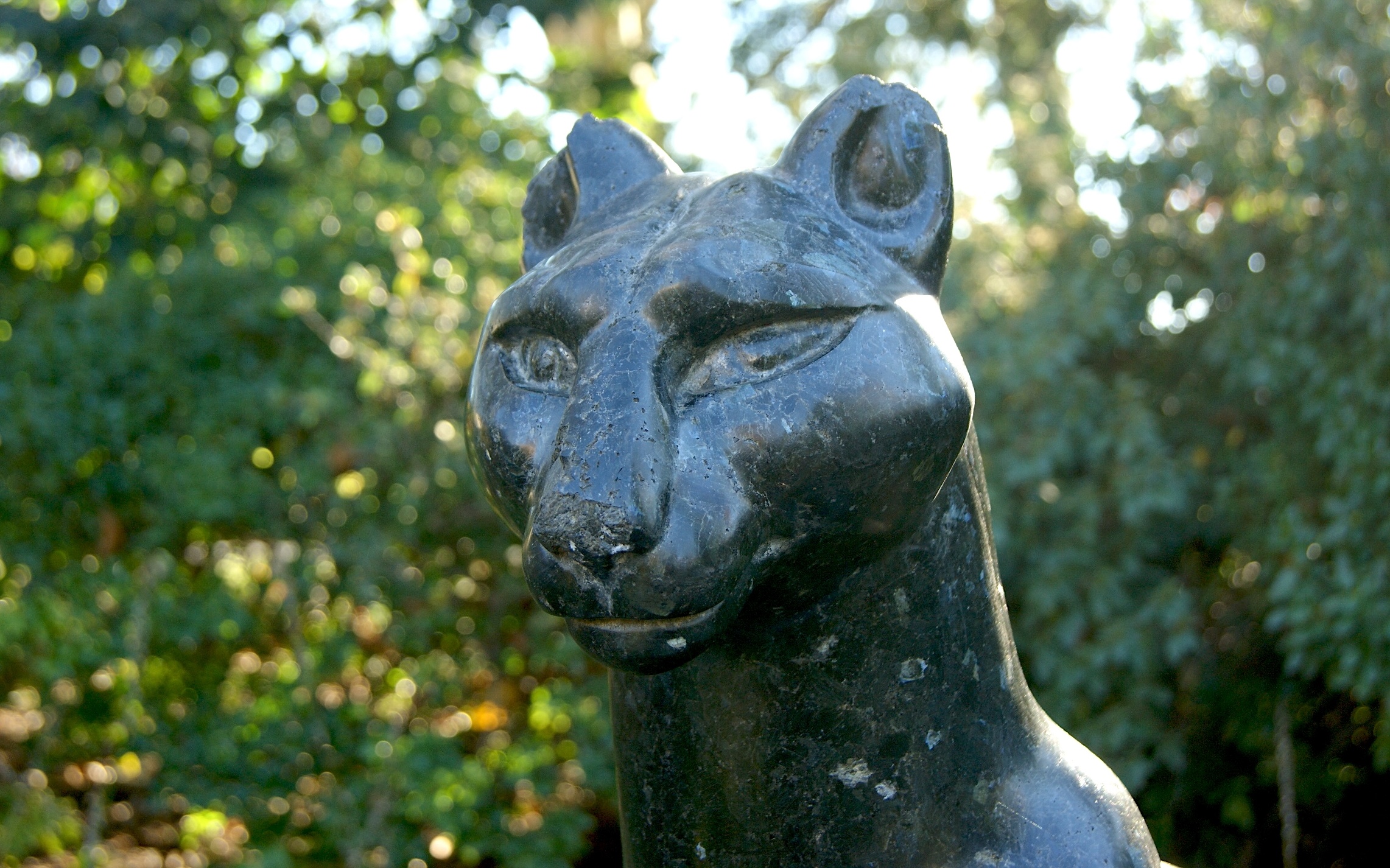 A close-up view of the head of puma in dark granite in a lush green park.