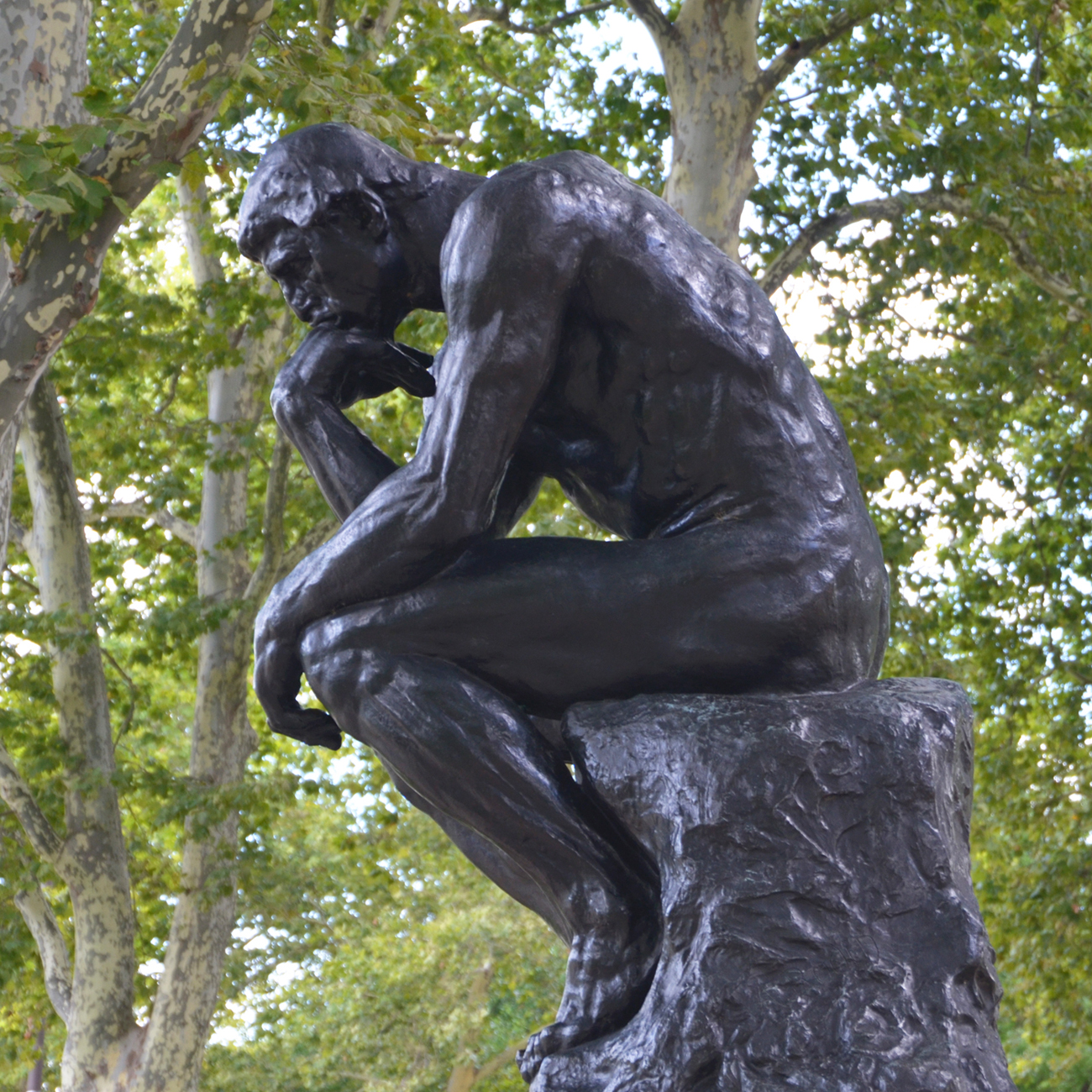 The Thinker Association For Public Art