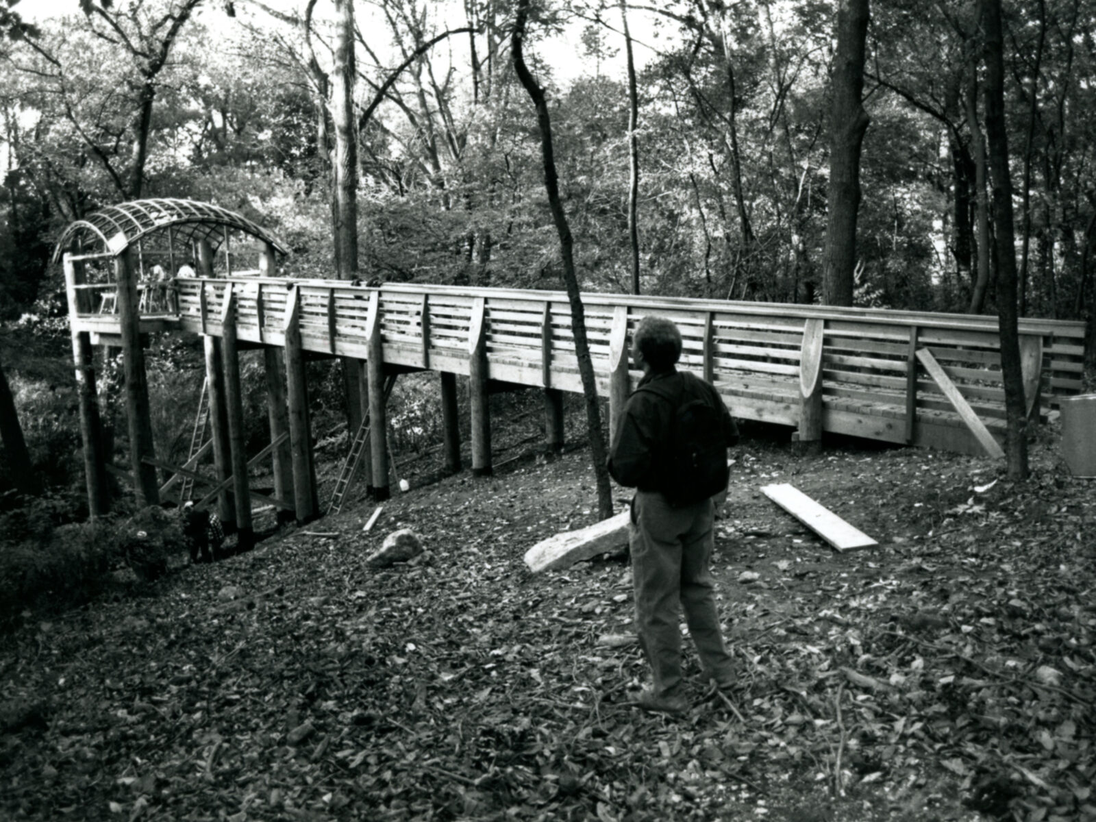 Martin Puryear at Pavilion in the Trees in Fairmount Park