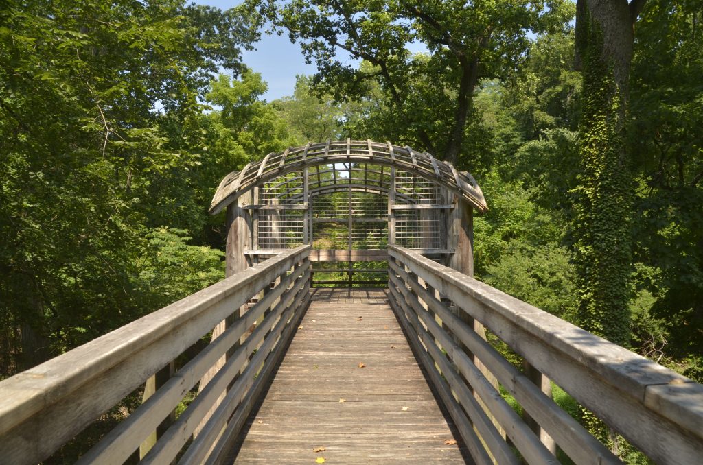 Pavilion in the Trees