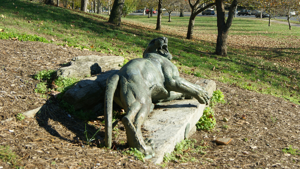 Tiger at Bay sculpture along Kelly Drive