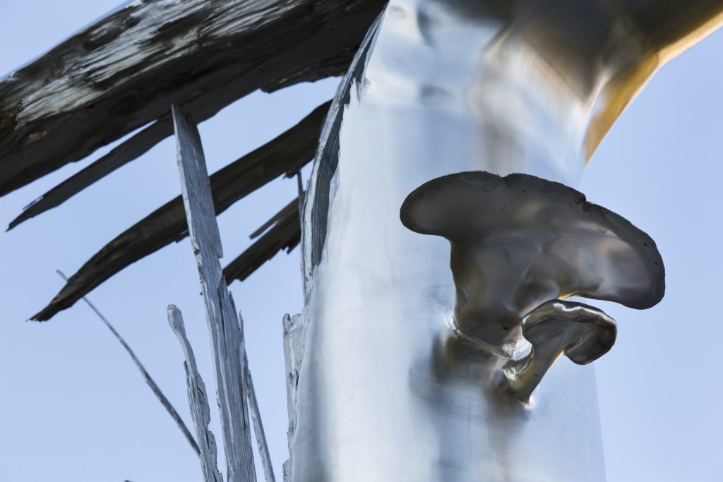 A close-up view of a stainless steel tree-like sculpture